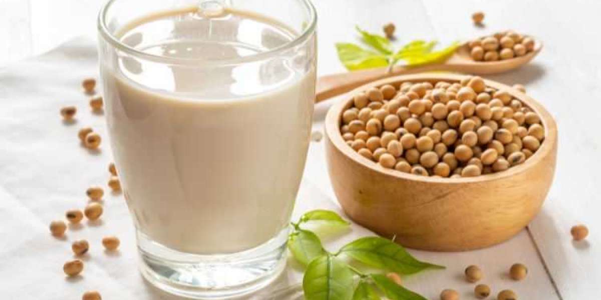 Soy Protein Market: Trends, Challenges, and Future Outlook, Forecast 2024-2032